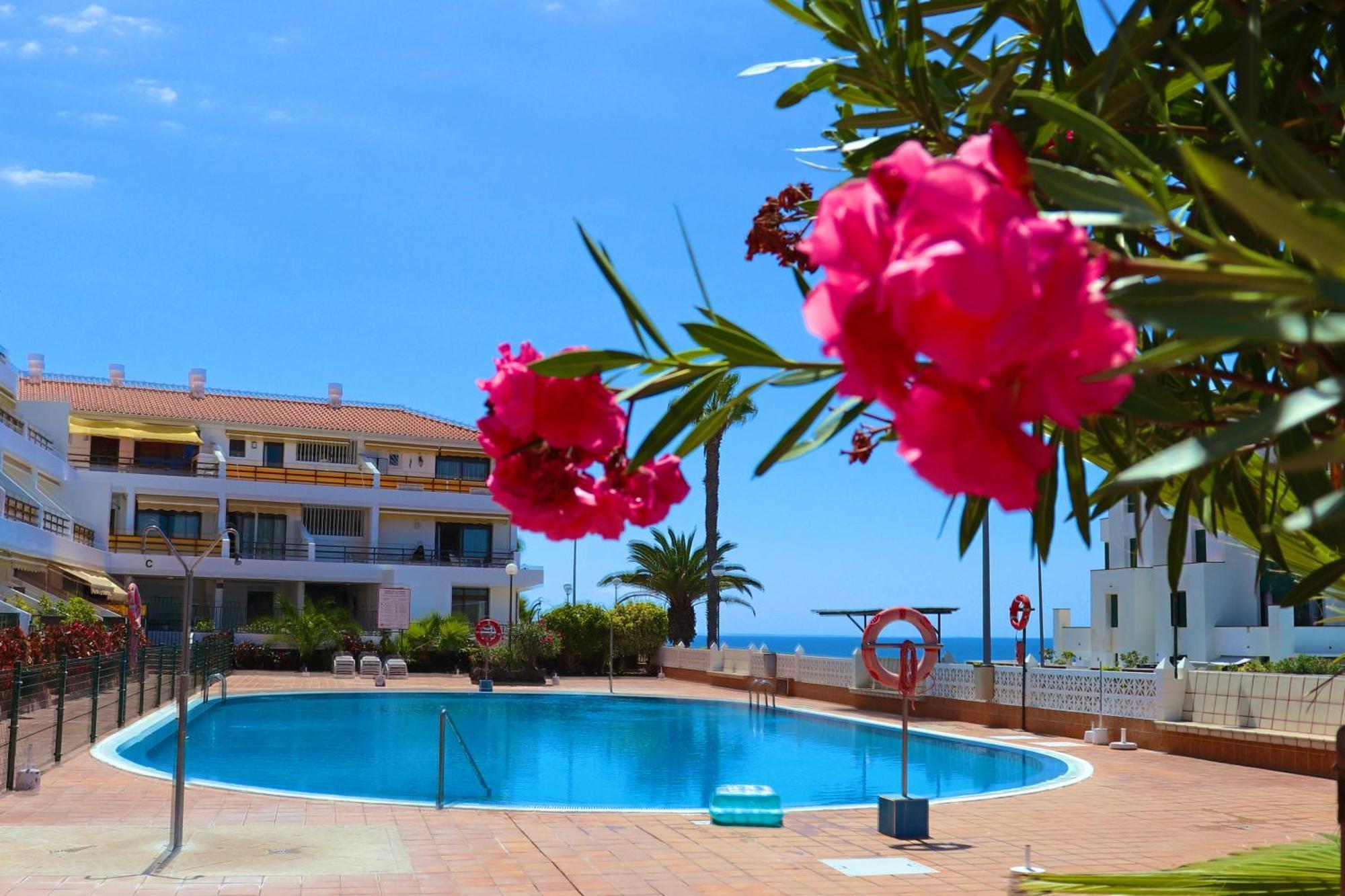Sunflower Apartment Just Relax بويرتو دي سانتياغو المظهر الخارجي الصورة